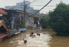 Anak-Anak Ceria Berenang di Banjir 3 Meter di Pancoran!