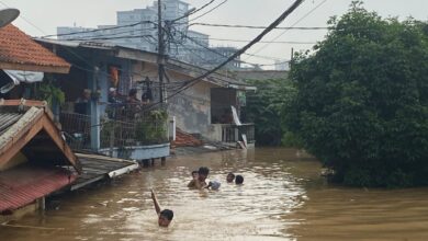 Anak-Anak Ceria Berenang di Banjir 3 Meter di Pancoran!