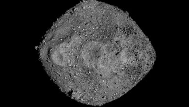 Asteroid Bennu Bongkar Jejak Air Kuno dan Blok Bangunan Kehidupan