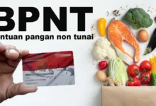 BPNT 2025 Cair! Cek NIK KTP Penerima di Sini Segera!