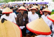 Bank Mandiri Perkuat Komitmen Akselerasi Solusi Keuangan untuk Petani dan UMKM