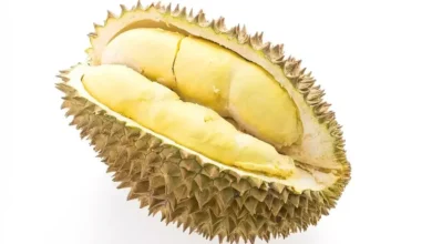 Bolehkah Durian Saat Perut Kosong? Temukan Penjelasannya di Sini!