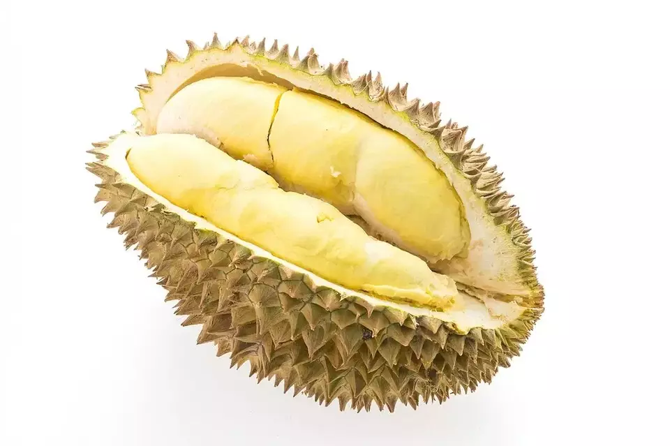 Bolehkah Durian Saat Perut Kosong? Temukan Penjelasannya di Sini!