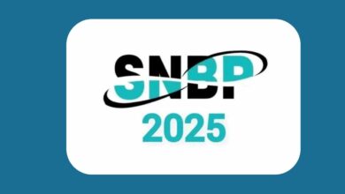 Cara Cek Pengumuman SNBP 2025 dan Tanda Lolosnya dengan Mudah!