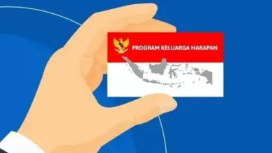 Cek Bansos PKH 2025: Ibu Hamil Dapat Dana Rp.750 Ribu!