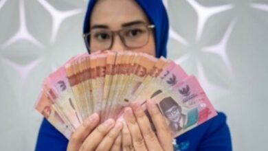 Dapatkan KUR BRI: Pilih Jenis Sesuai Usaha Anda!