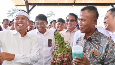 Dedi Mulyadi Pastikan Stok Pupuk di Jabar Aman dan Cukup!