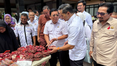 Gerakan Pangan Murah: Kadin Gabungkan Hulu dan Hilir, Kata Kepala Bapanas