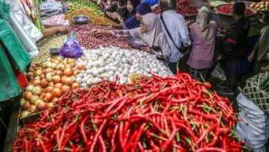 Gubernur Sulsel Koordinasi TPID Atasi Harga Tidak Stabil