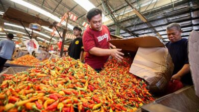 Harga Cabai Meroket, Tembus Rp104.000 per Kg Awal Ramadan!