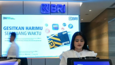 Ini Penyebab dan Solusi Jika Pinjaman KUR BRI 2025 Ditolak!