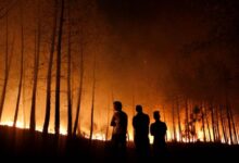 Kebakaran Hutan Tewaskan 4 Orang, Korsel Deklarasikan Keadaan Darurat