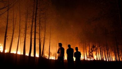 Kebakaran Hutan Tewaskan 4 Orang, Korsel Deklarasikan Keadaan Darurat