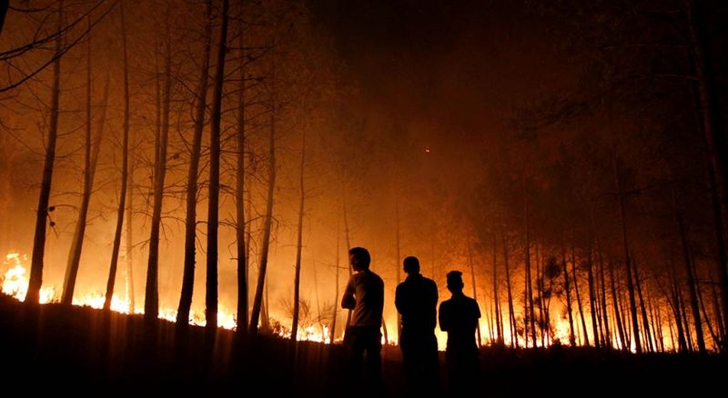 Kebakaran Hutan Tewaskan 4 Orang, Korsel Deklarasikan Keadaan Darurat