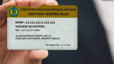 Langkah Mudah Daftar NPWP Perseorangan dan Perusahaan 2025!