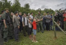 Lepas 265 Burung di Gunung Halimun Salak, Menhut: Lindungi Habitat!