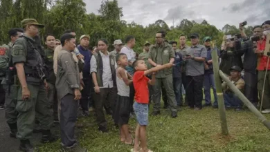 Lepas 265 Burung di Gunung Halimun Salak, Menhut: Lindungi Habitat!