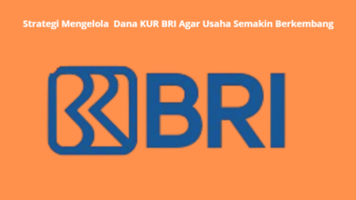 Optimalisasi Dana KUR BRI: Strategi untuk Kembangkan Usaha Anda