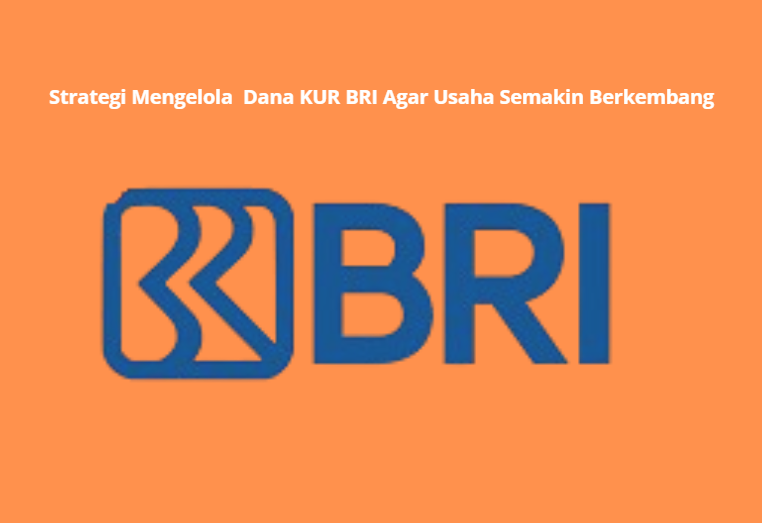 Optimalisasi Dana KUR BRI: Strategi untuk Kembangkan Usaha Anda