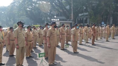 Pengamat: Penundaan Pengangkatan CPNS Berisiko Dampak Negatif