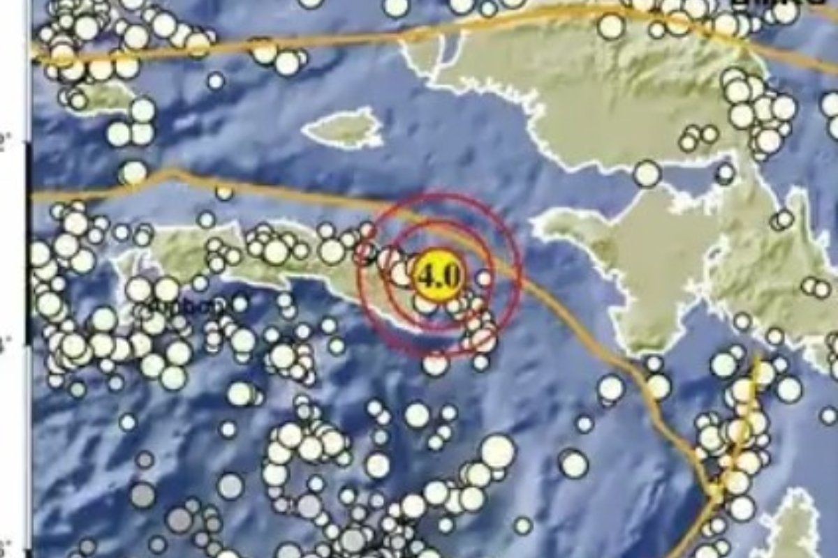 Pulau Seram, Maluku Diguncang Gempa Bumi M 4.0: Warga Panik!