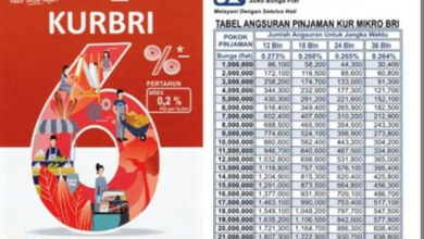 Solusi Pinjaman Mudah: Tabel Angsuran KUR BRI 2025 Rp300 Juta