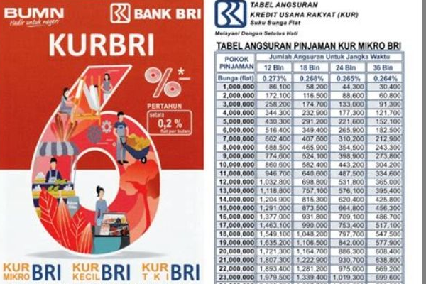 Solusi Pinjaman Mudah: Tabel Angsuran KUR BRI 2025 Rp300 Juta