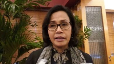 Sri Mulyani Buka-bukaan Penerimaan Pajak, Apa Kata Podme Economy?