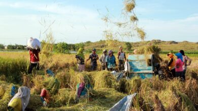 Tani Merdeka Kolaborasi dengan Bulog Jatim Tingkatkan Serapan Gabah