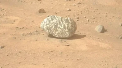 Temuan Batu Panah di Mars: Petunjuk Kehidupan Mikroba Purba?