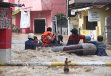 Tips Penting Minimalkan Risiko Leptospirosis Saat Terkena Banjir