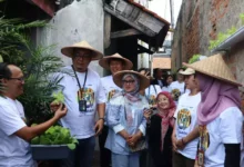 Urban Farming Lorong Mekaar: PNM Wujudkan Ketahanan Pangan