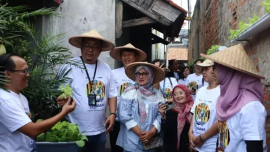 Urban Farming Lorong Mekaar: PNM Wujudkan Ketahanan Pangan