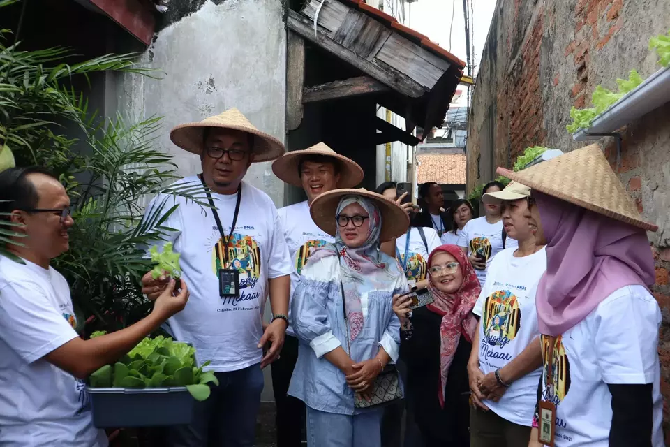 Urban Farming Lorong Mekaar: PNM Wujudkan Ketahanan Pangan