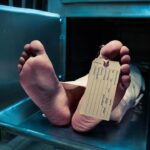 Geger Jenazah Pria Tersangkut di Kali Cililitan, Petugas Damkar Jakarta Timur Lakukan Evakuasi