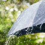 Cuaca Ekstrem Landa Jakarta, Pemprov DKI Imbau ASN dan Pekerja Swasta WFH hingga Akhir Januari