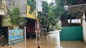 Banjir Pejaten Timur Jakarta Selatan Masih Rendam Permukiman, Air Capai 1,2 Meter