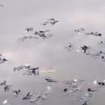 Misteri Kematian Massal Ikan di Situ Citongtut Bogor, Pemkab Langsung Turun Tangan