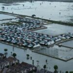 Banjir Bekasi Meluas: 5.168 Hektare Sawah Terendam, Petani Hadapi Ancaman Gagal Panen