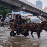 Banjir Kelapa Gading Jadi Rezeki Nomplok Kusir Delman, Sekali Angkut Rp 100 Ribu