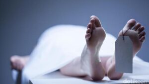 Dua Pencuri Sapi di Lampung Ditembak Polisi, Satu Tewas Usai Melawan Petugas