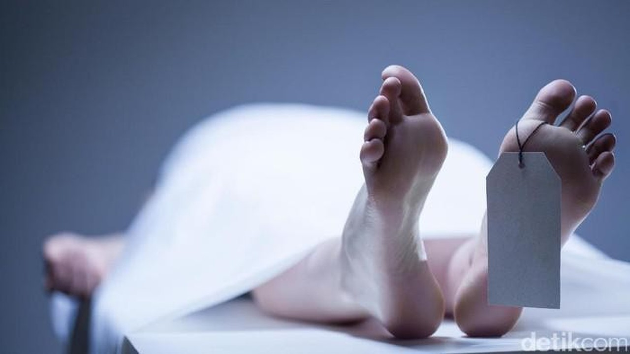 Dua Pencuri Sapi di Lampung Ditembak Polisi, Satu Tewas Usai Melawan Petugas