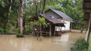 Banjir Landa 6 Desa di Pandeglang dan Tangerang, BPBD Banten Minta Pemda Tingkatkan Mitigasi